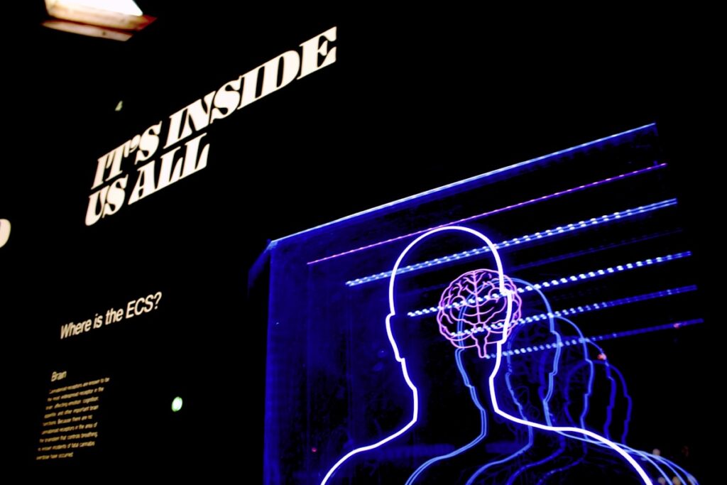 Medical information exhibit at the Museum of Weed simbolismo del conductismo